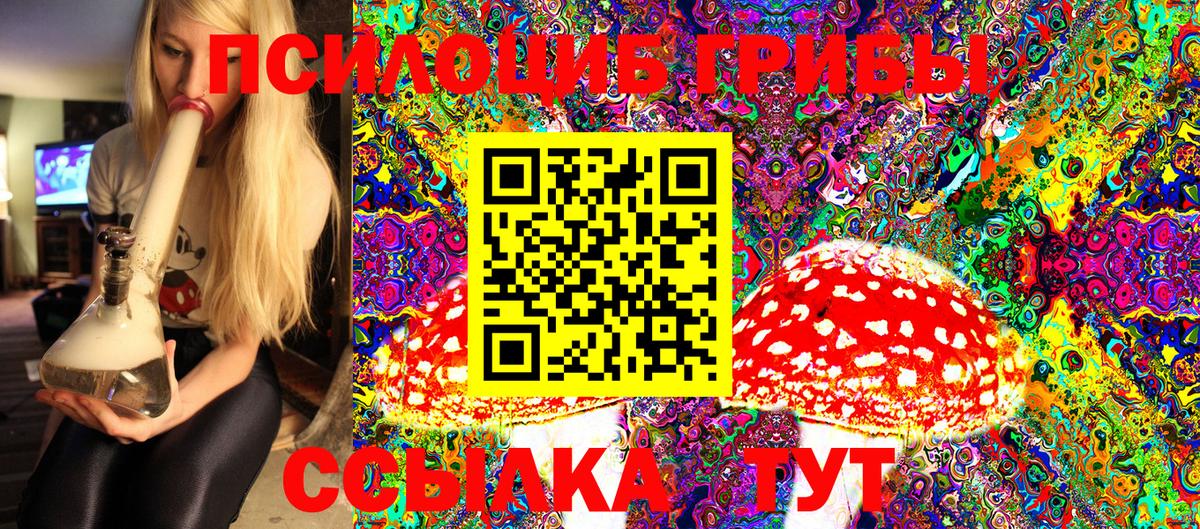 Псилоцибиновые грибы мицелий Малоярославец