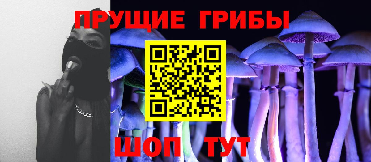 Малоярославец  Псилоцибиновые грибы Psilocybine cubensis  Псилоцибиновые грибы GOLDEN TEACHER  Вход с VPN 